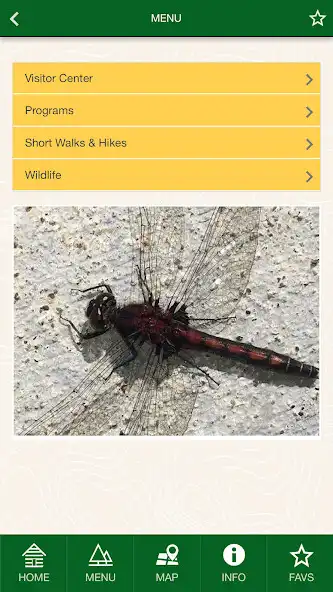 Play Mendenhall Glacier, Tongass NF as an online game Mendenhall Glacier, Tongass NF with UptoPlay