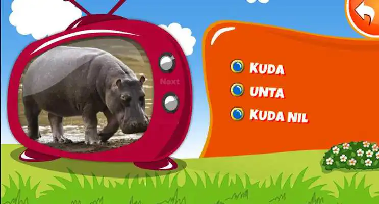 Play Mengenal Binatang