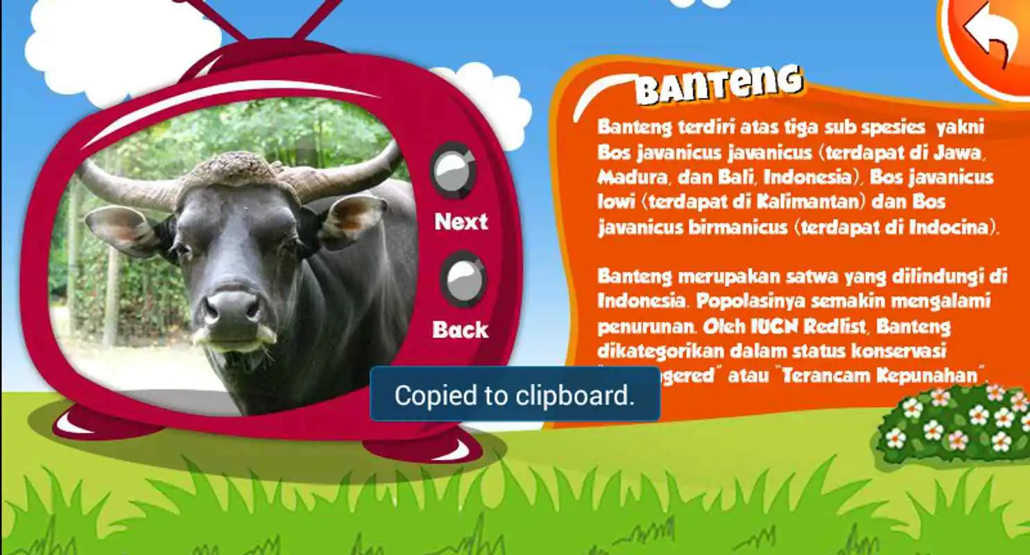 Play Mengenal Binatang