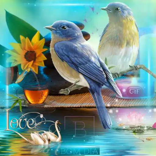 Play Mensagens Bom Dia Tarde Noite APK Play Mensagens Bom Dia Tarde Noite APK