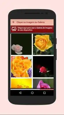 Play Mensagens e Frases com Flores Play Mensagens e Frases com Flores