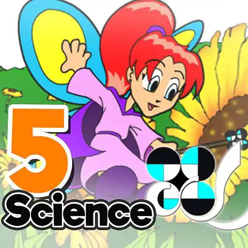 Play Menstrual Cycle APK