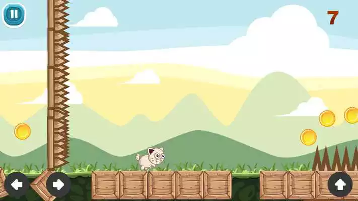 Play Meong Catty