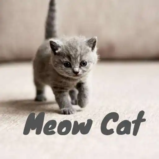 Free play online Meow Cat APK