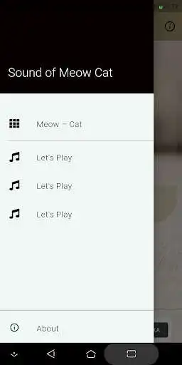 Play Meow Cat