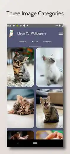 Play Meow Cat Wallpapers HD images as an online game Meow Cat Wallpapers HD images with UptoPlay