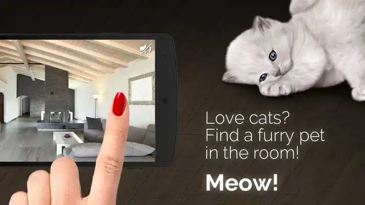 Play Meow: Find Cat