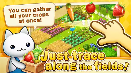 Play Meow Meow Star Acres