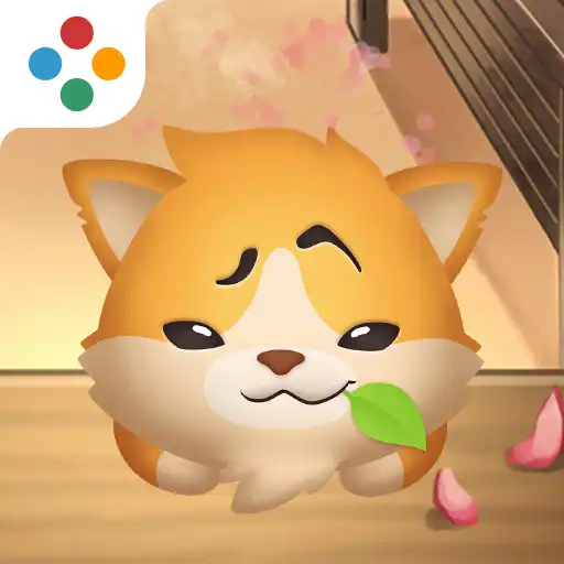 Play Meow Meow Sweety APK Play Meow Meow Sweety APK