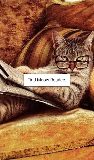 Play Meow Reader  and enjoy Meow Reader with UptoPlay