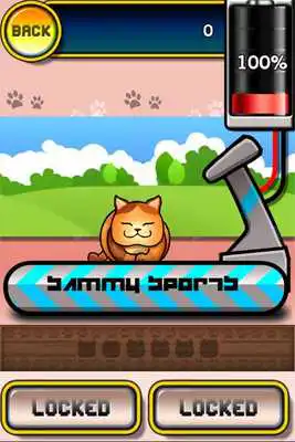 Play Meow Runner