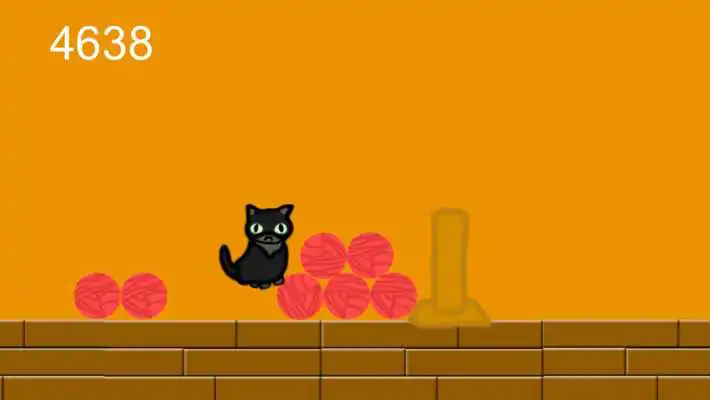 Play Meow Run