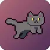 Free play online Meow Sushi Night APK Free play online Meow Sushi Night APK