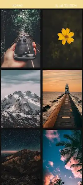 Play Meow Wallpaper as an online game Meow Wallpaper with UptoPlay