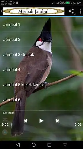 Play Merbah Jambul as an online game Merbah Jambul with UptoPlay