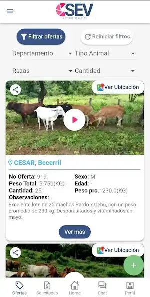 Play Mercado Ganadero SEV  and enjoy Mercado Ganadero SEV with UptoPlay