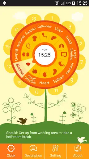 Play Meridian Health Clock  and enjoy Meridian Health Clock with UptoPlay