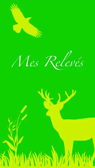 Play Mes relevés  and enjoy Mes relevés with UptoPlay