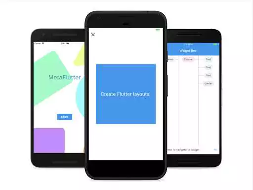 Play MetaFlutter  and enjoy MetaFlutter with UptoPlay