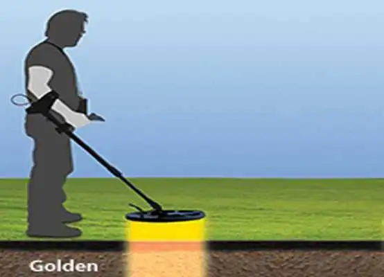 Play Metal Detector  Gold