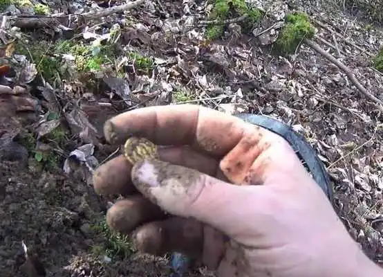 Play Metal Detector  Gold