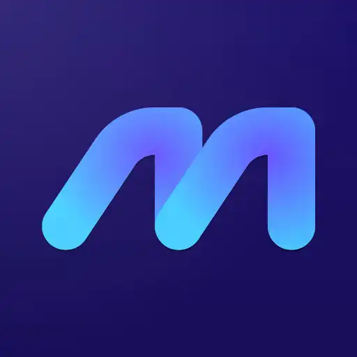 Play Metapay Vendas APK