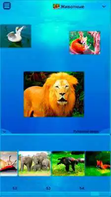 Play Metaphoric Cards