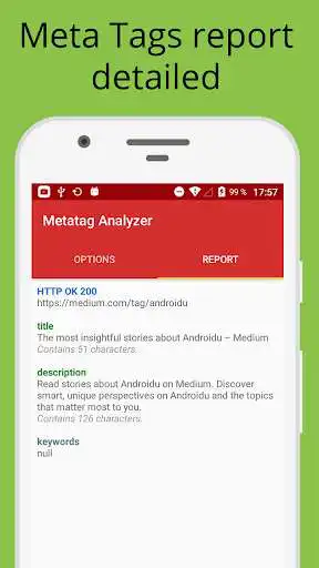 Play Metatag Analyzer as an online game Metatag Analyzer with UptoPlay