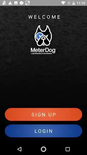 Play MeterDog as an online game MeterDog with UptoPlay