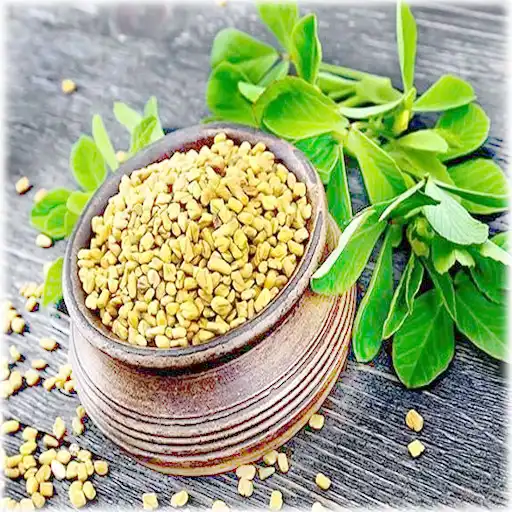 Play Methi ke Fayde APK Play Methi ke Fayde APK