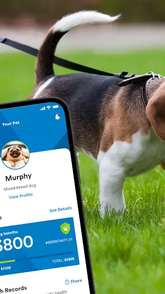 Play MetLife Pet as an online game MetLife Pet with UptoPlay