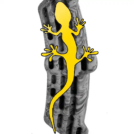 Play Metolius hangboard training APK