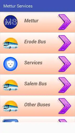 Play Mettur Services(MS)