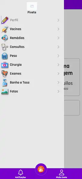 Play Meu Pet  and enjoy Meu Pet with UptoPlay