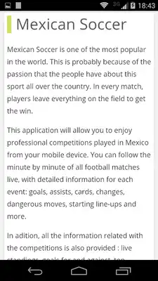 Play Mexican Soccer