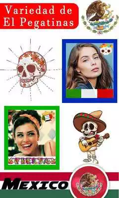 Play Mexico flag dp maker free