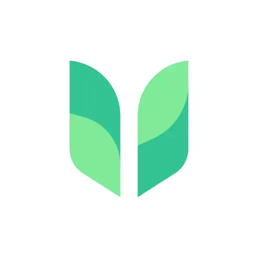 Play Mezure APK Play Mezure APK