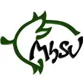 Free play online MhSV Multigaming APK