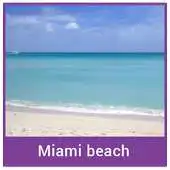 Free play online Miami Beach Tourism APK Free play online Miami Beach Tourism APK