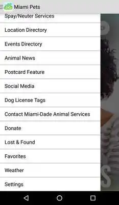 Play Miami Pets