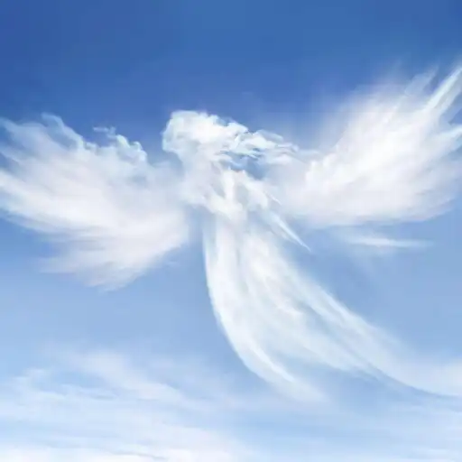 Play Mi Angel de la Guarda APK