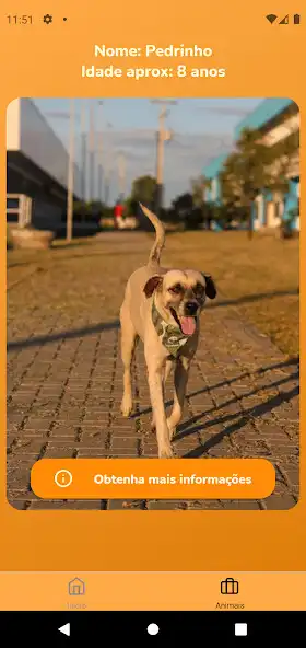 Play Miaudot as an online game online Miaudot with UptoPlay Play Miaudot as an online game Miaudot with UptoPlay