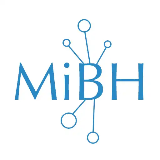 Play MiBH Windows Tinting APK