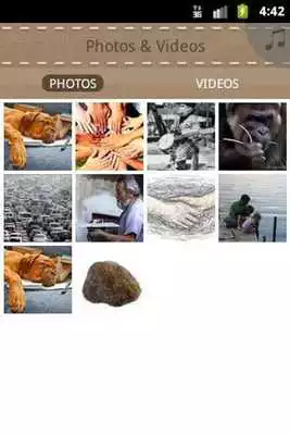 Play Michael Rosandich