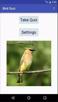 Play Michigan Bird Quiz
