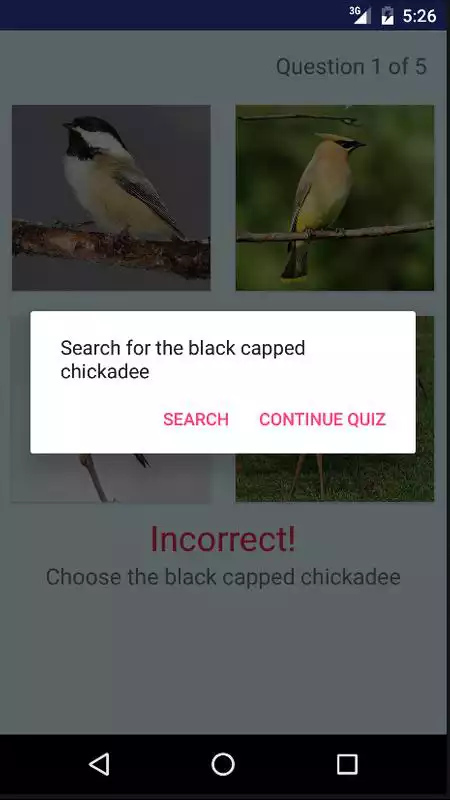 Play Michigan Bird Quiz