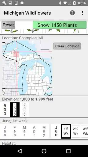 Play Michigan Wildflowers as an online game Michigan Wildflowers with UptoPlay