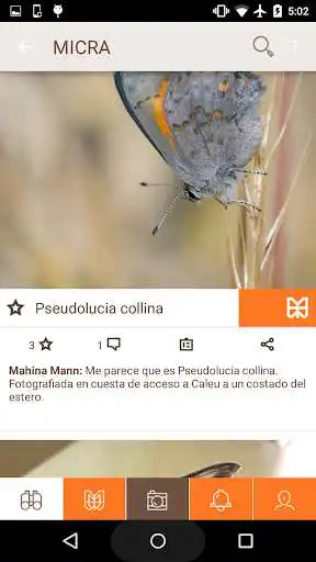 Play Micra  and enjoy Micra with UptoPlay