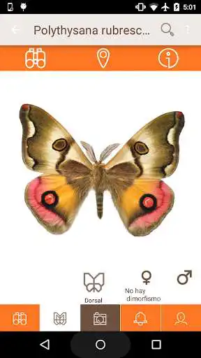 Play Micra as an online game Micra with UptoPlay