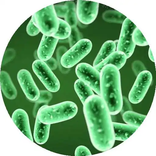 Play Microbiology Handbook APK Play Microbiology Handbook APK